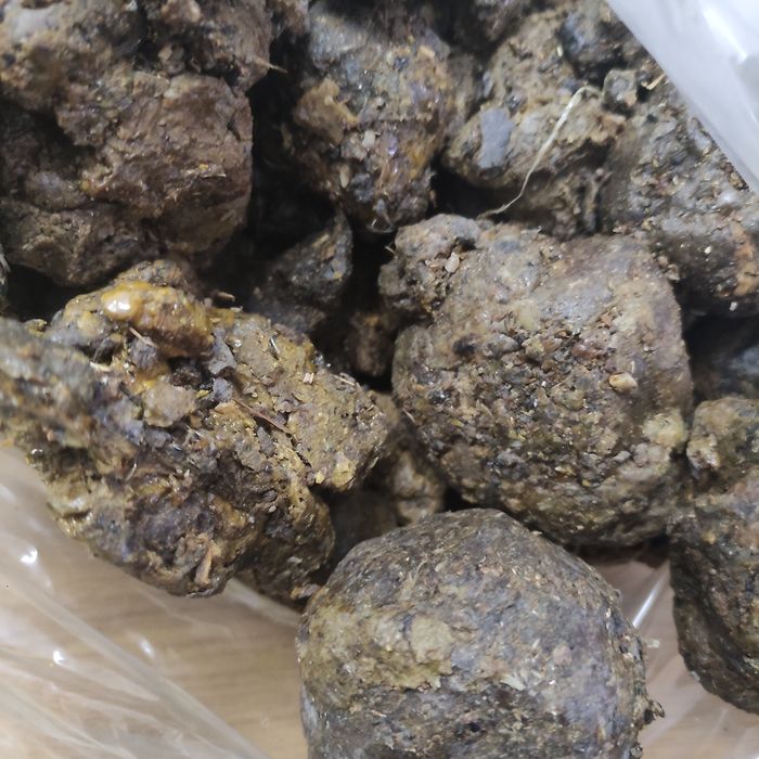 Propolis,kit pszczeli