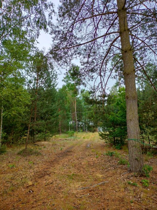 Działka 2300m2 Janów gm. Wolbórz