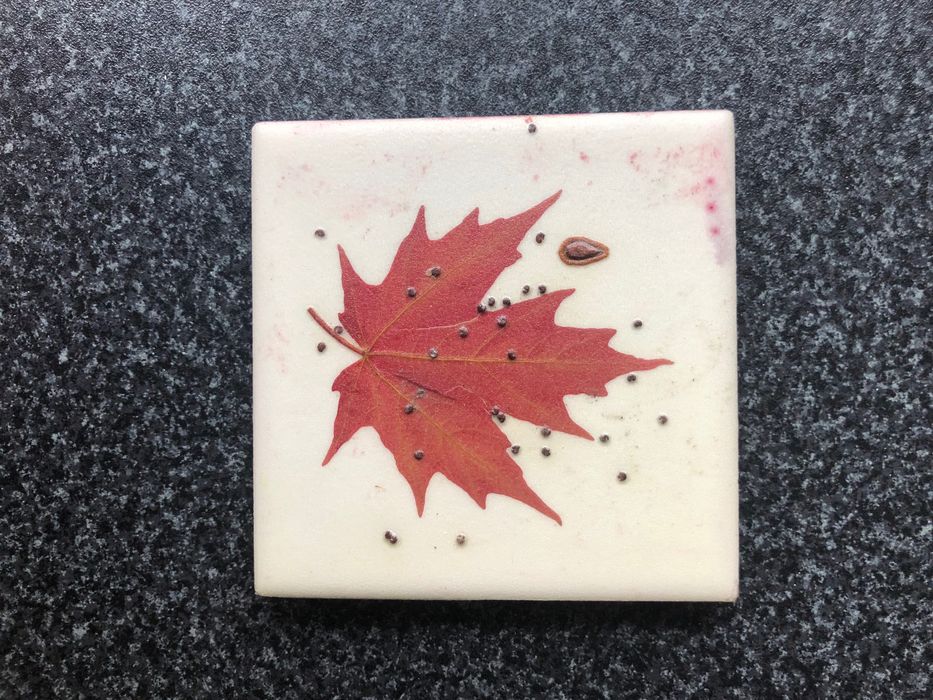 Artesanato Folha Plátano Canadá em vidro  (Oferta Magneto)