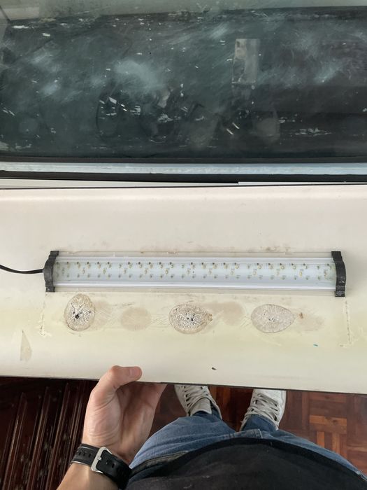 Aquarario de 200/50L