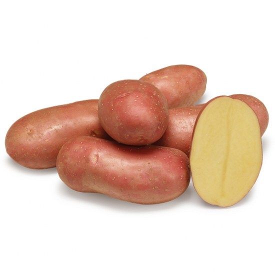 Batata vermelha nova