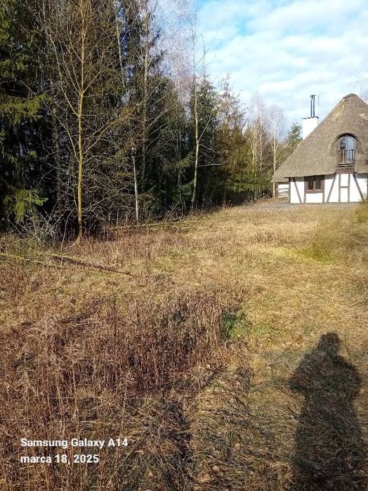 Wycinka Drzew/Czyszczenie Działek/Zrębkowanie gałęzi/Koszenie