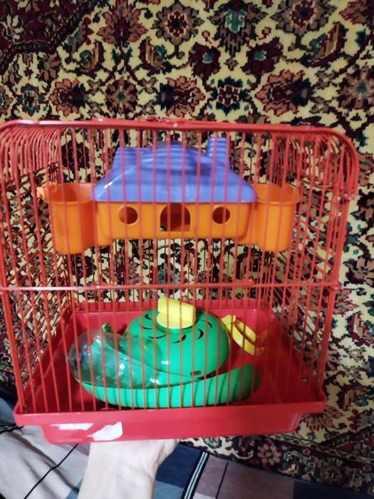 Клітка для гризунів