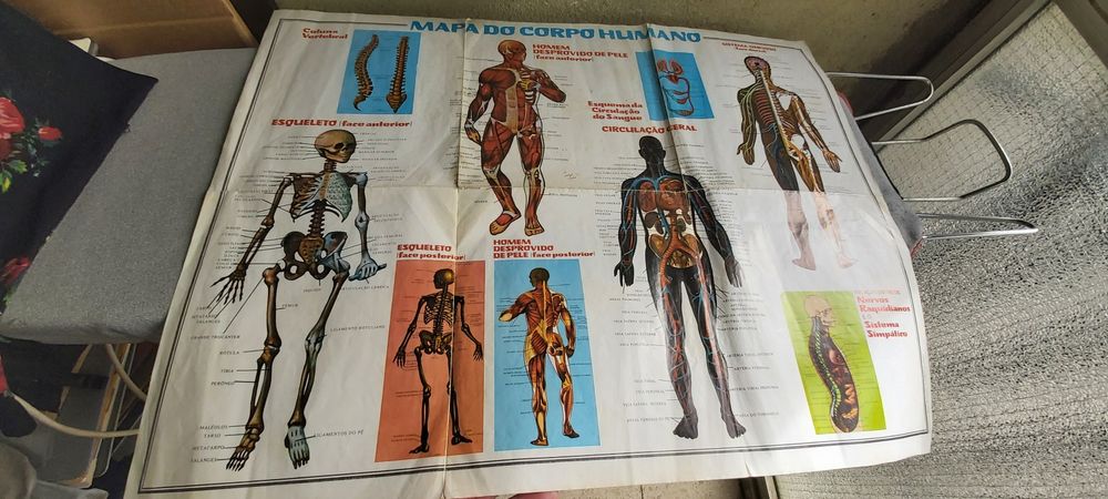 Mapa do Corpo Humano (Antiguidade)
