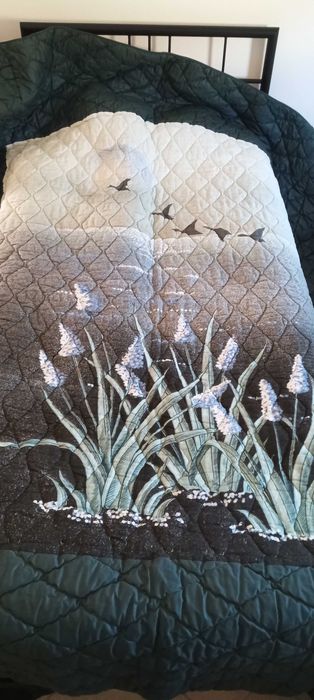 Edredom dupla fase Novo