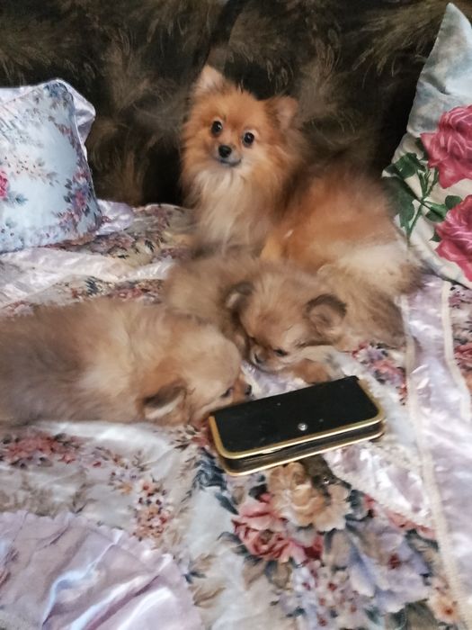 Мальчик и девочка