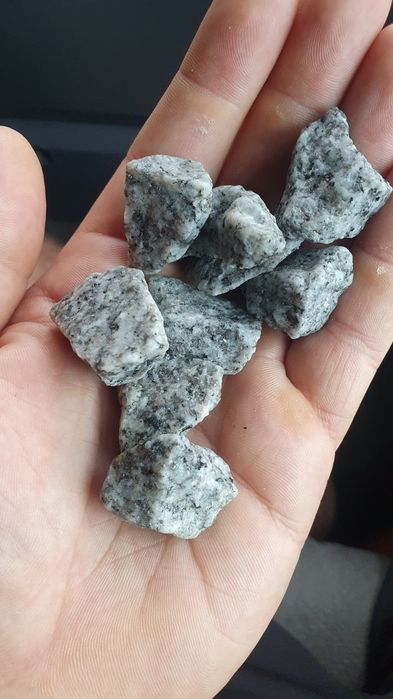 Grys kamień granitowy dalmatyńczyk granit ogrodowy jasno szary