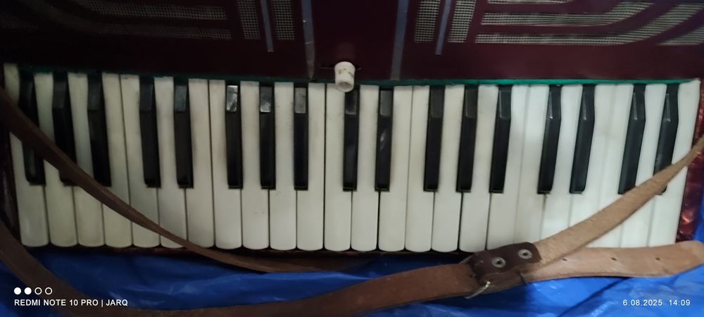 Akordeon   hohner