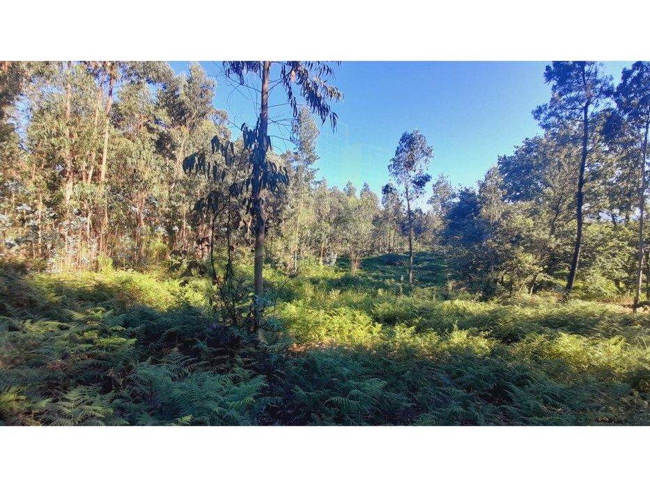 Terreno para construção