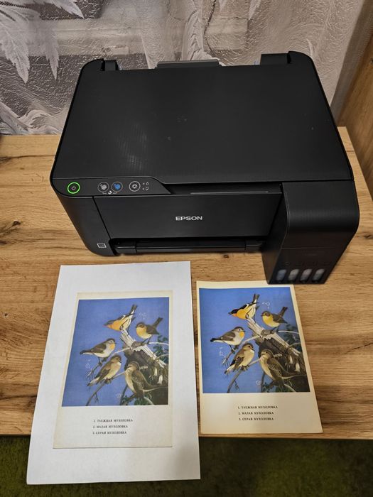 Принтер Epson L3100