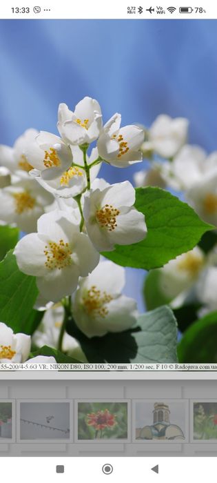 Телеобъектив Никон 55-200 мм