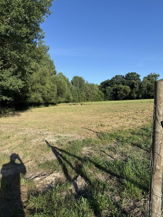 Działka 1578 m² pod dom jednorodzinny | Bronowice | gm. Trzebiel - View 3