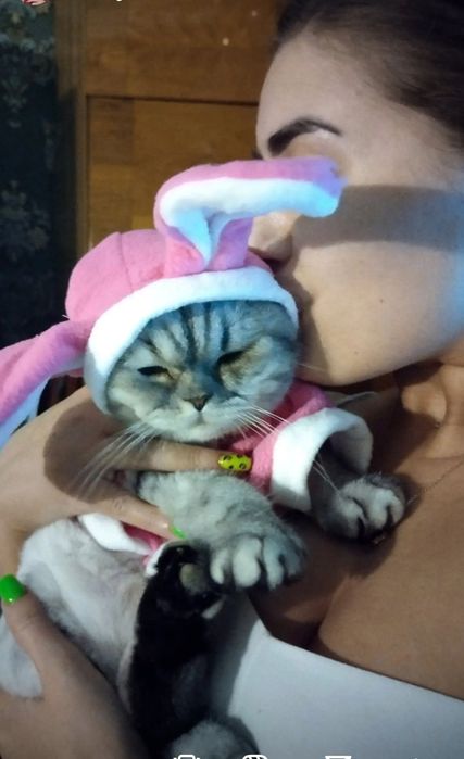 Курточка,кофта,кофточка для котика или собачки.