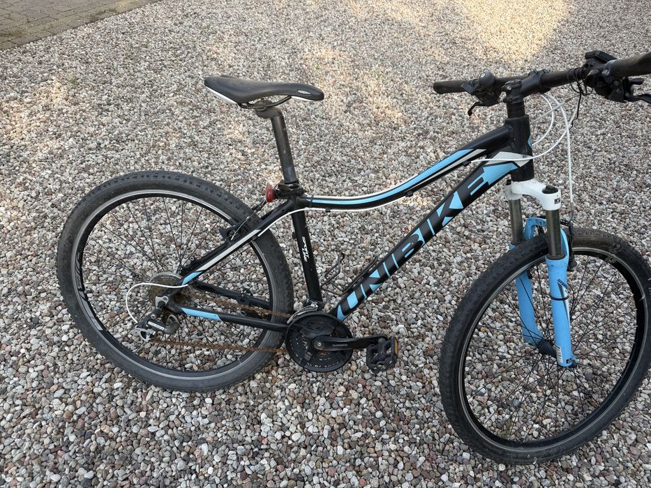 Rower unibike move