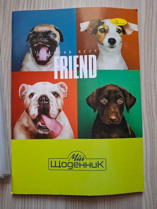 Школьные принадлежности: дневник, обложки