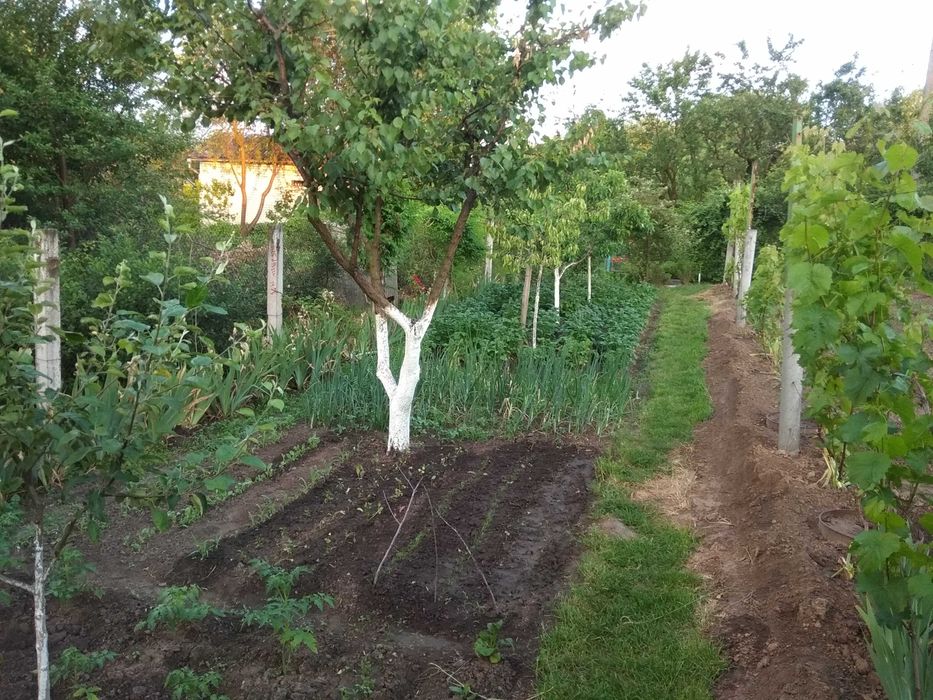 Продається цегляний 2пов будинок 118м2 в с.Мала Солтанівка