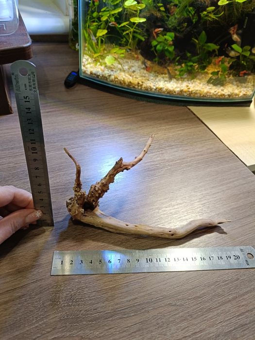 Коряга для акваріуму. 110 грн