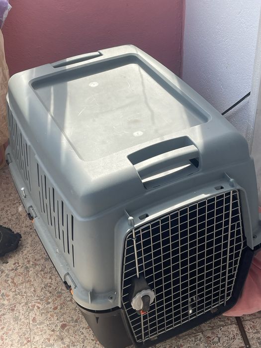 Caixa Transportadora de animais