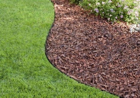 Кора соснова для декора