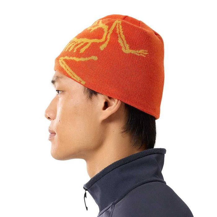Шапка Arcteryx Bird Head Toque Solaris/Edziza