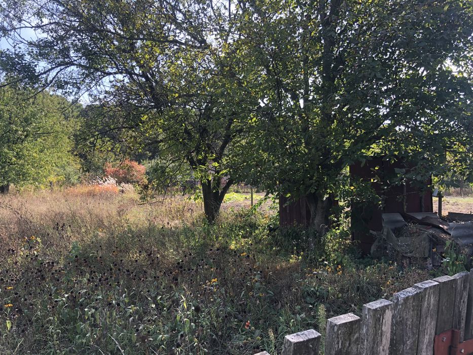 Дача Фурси ДК «Фіаніт» 8 соток+будиночок