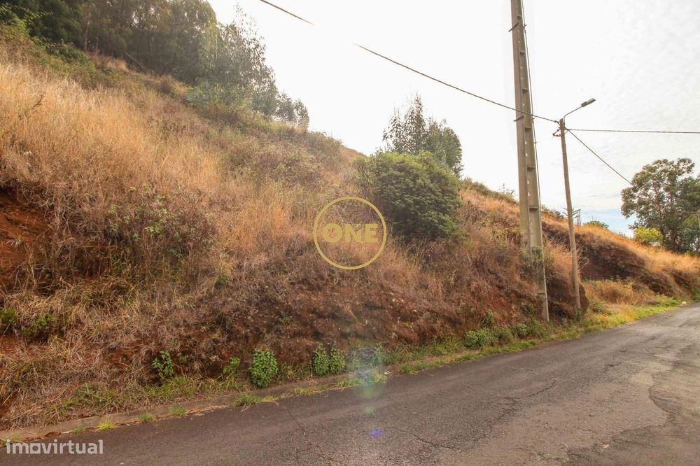 Terreno com 4299 m2