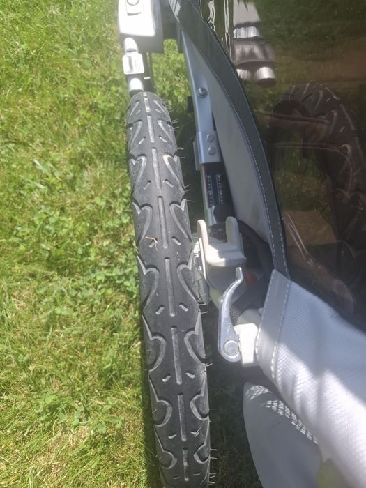 Riksza thule najlepsza firma