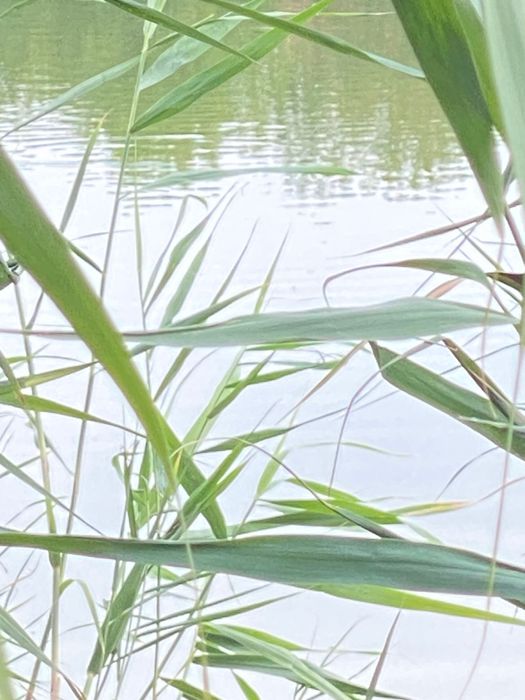 Місце, де починається ваше нове життя!