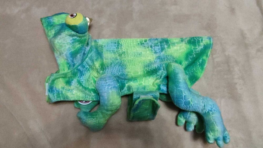 костюм для собаки. одежда для собаки.