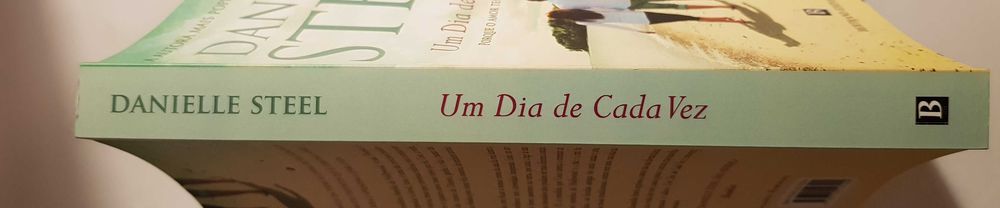Um Dia de Cada Vez - Danielle Steel