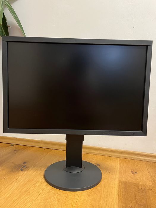 Profesjonalny monitor graficzny Eizo CS2420-BK