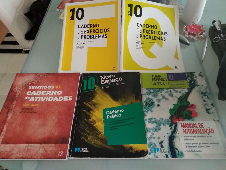 Cadernos de atividades 10 ano várias disciplinas