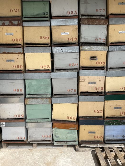 Colmeias usadas em bom estdo