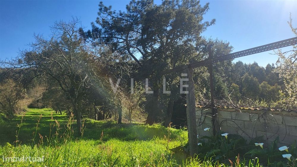 Terreno  Venda em Préstimo e Macieira de Alcoba,Águeda