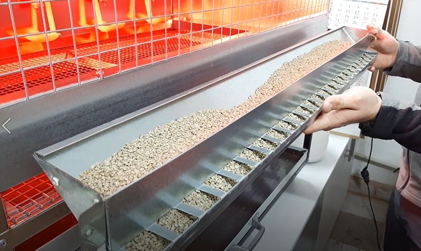 Брудер яслі клітка для пташенят обігріву бройлерів