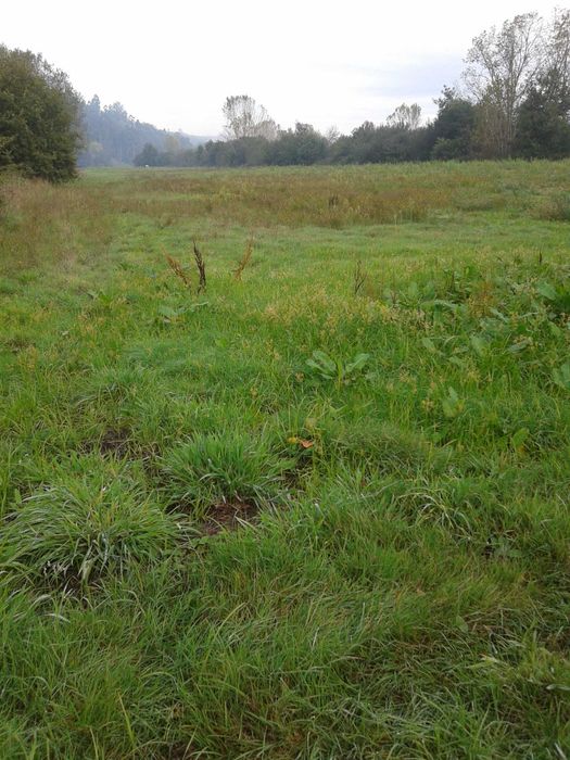 Terreno para Agricultura