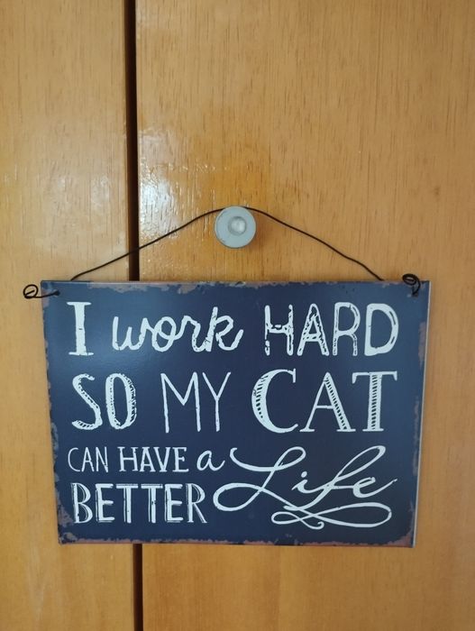 Placa decorativa para amantes de gatos