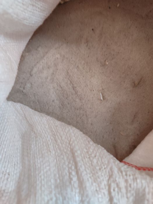 Пісок в мішках продаю терміново.