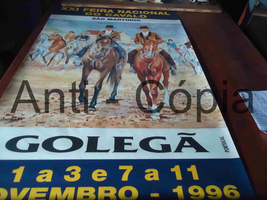 Cartazes de S. Martinho