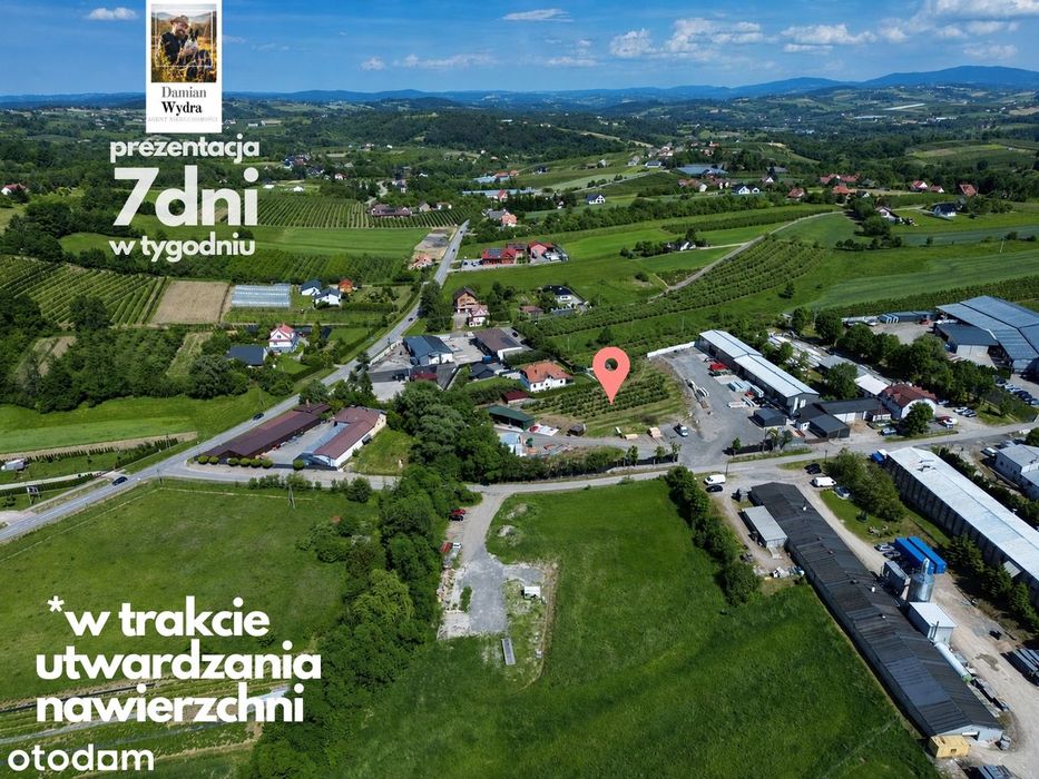 Zdjęcie 3