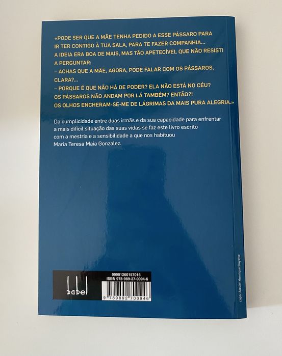 Recados da mãe - Maria Teresa Maia Gonzalez
