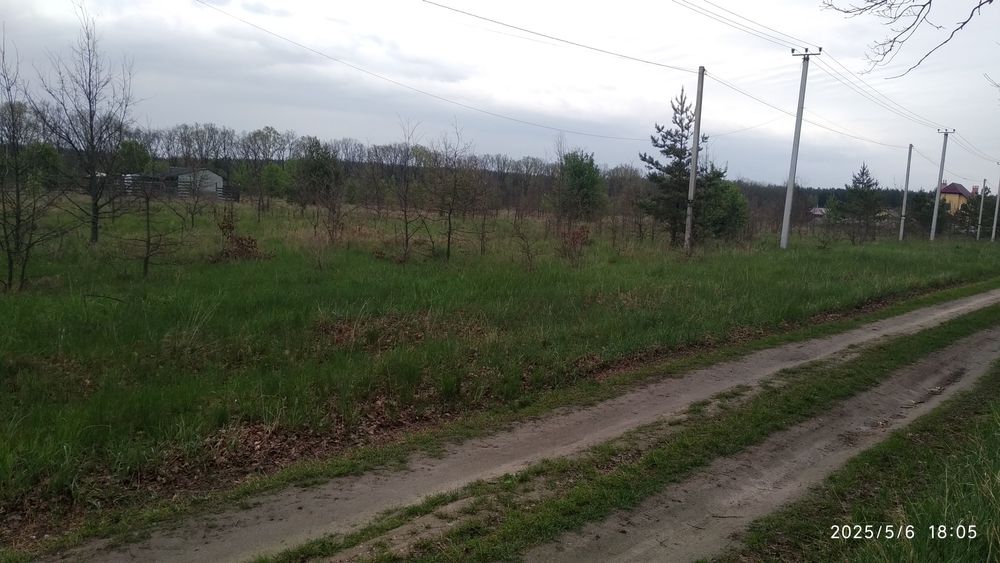 Дзвінкове. Ділянка під забудову площею 15соток біля лісу.