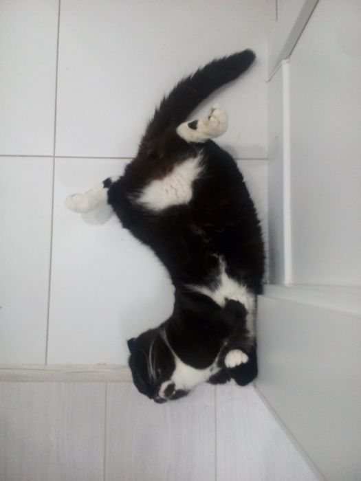 Добрий день. Я - Флеш. Бажаю познайомитись...