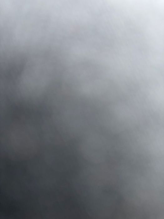 Gałka Biegów                .