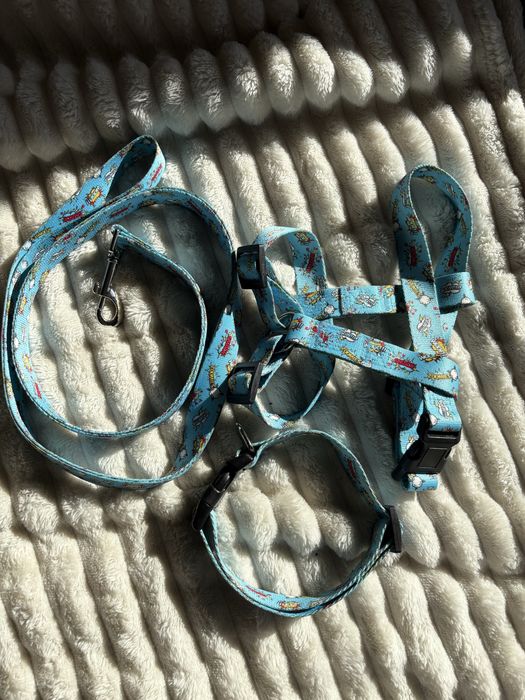 Komplet dla psa niebieski