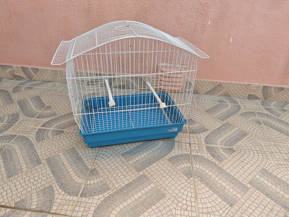 Gaiola como nova
