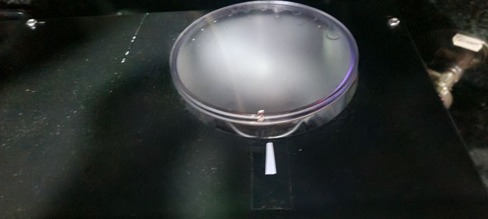 Máquina de café com moinho