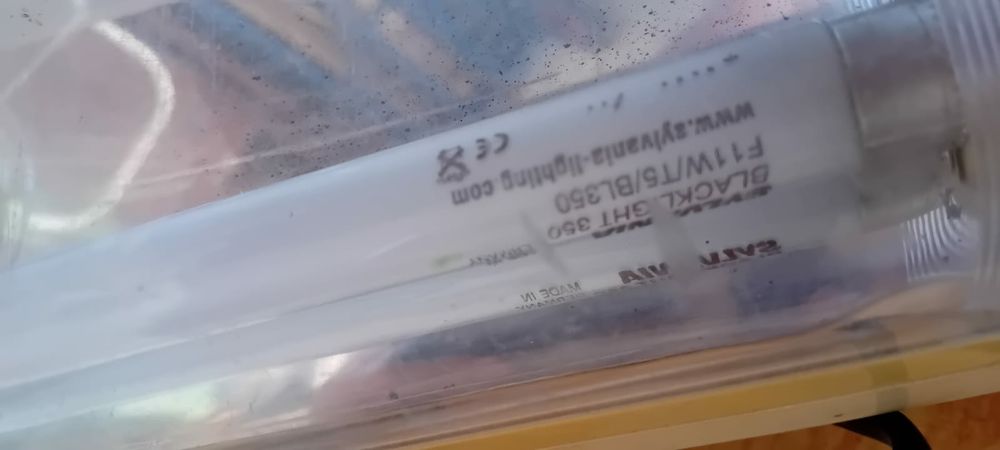 Lanterna com lâmpadas