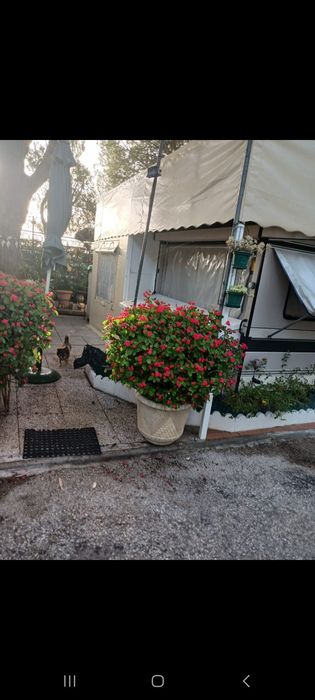 Vendo roulote HOBBY LANDHAUS em excelente estado