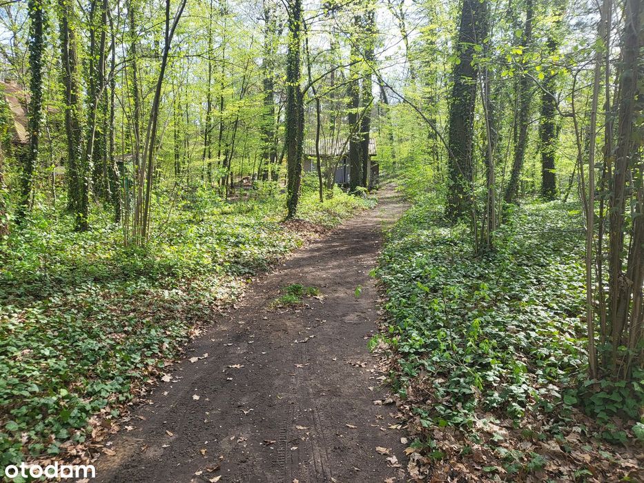Działka Budowlana Podkowa Leśna 2594m2
